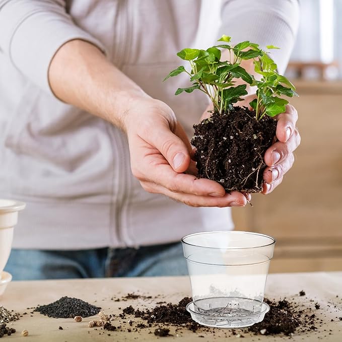 4 Inch Clear Nursery Pots, Set of 8 Transparent Plant Flower Pots for Small Indoor Plants with Drainage Holes & Trays, Plastic Seedling Starter Pots for Various Plants