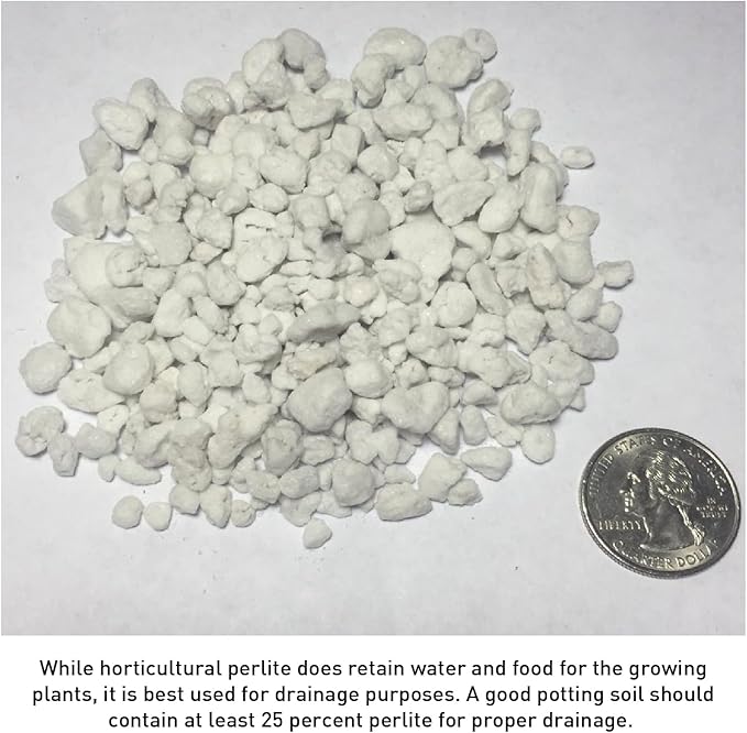 Norcal Perlite Horticultural Perlite Organic Certified Premium Screened Coarse – Garden Indoor Outdoor Plants – Soil Additive Better Aeration and Drainage - 2 Cubic Feet (62 Quarts) 1 Bag