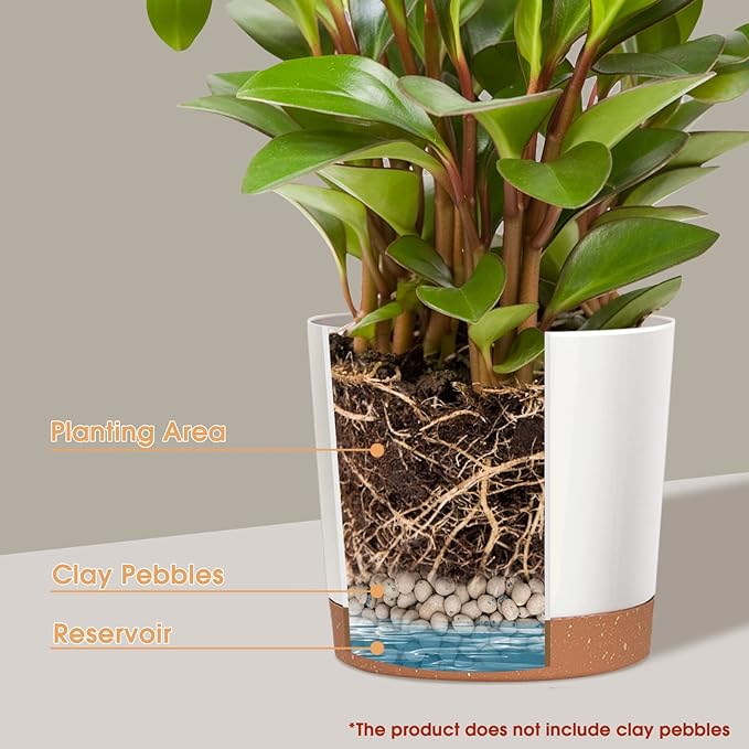 kubvici 2 Pack 8 Inch Planters for Indoor Plants, Plastic Flower Pots Plant Pots Indoor with Drainage Saucer for Outdoor Garden Home Plant, White 8”