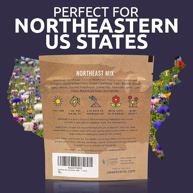 Northeast Wildflower Seeds - Extra Large 1 Ounce Packet - Over 7,500 Native Seeds - Open Pollinated and Non GMO Varieties for New York, Virginia, Pennsylvania, Maine and More!