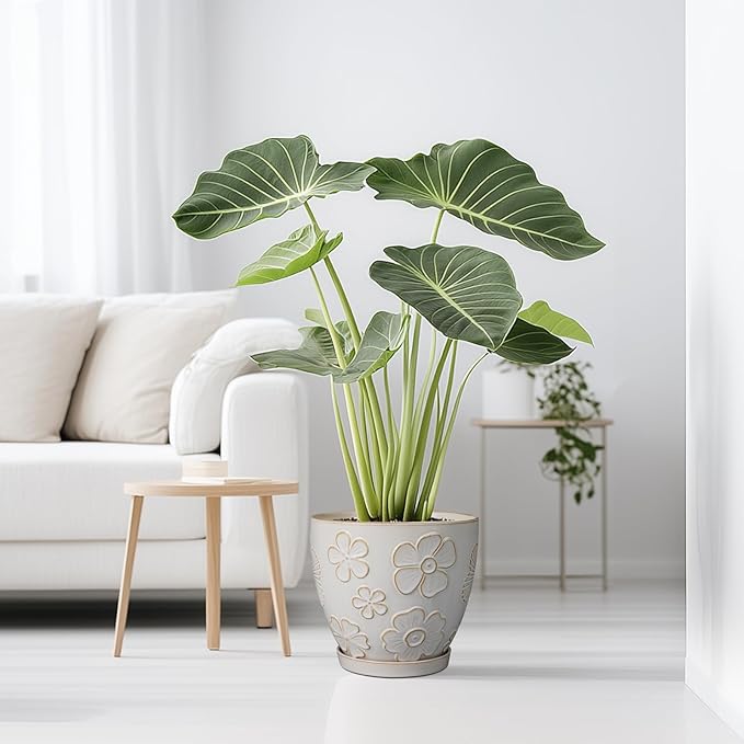 10 Inch Ceramic Planter Pot Large Plant Pot for Indoor Plants Outdoor Round Flower Pot with Drainage Hole and Saucer for Home Garden Decor White