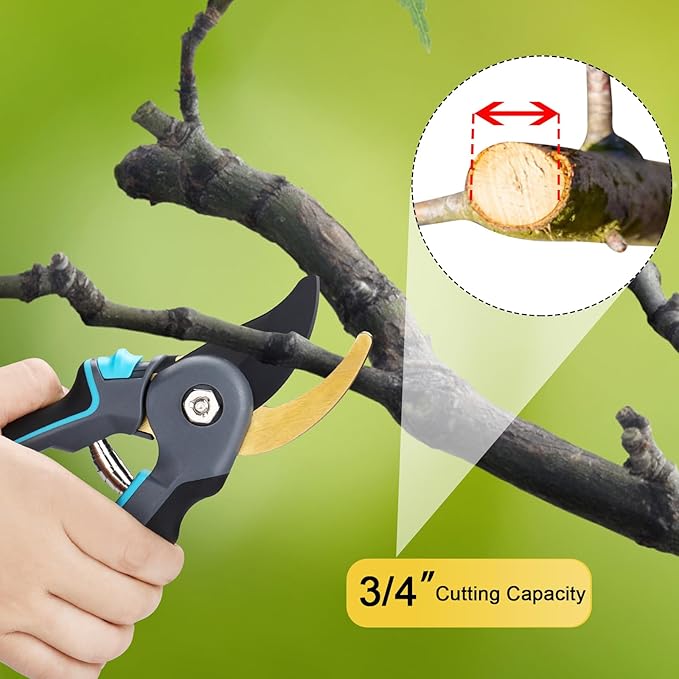 Pruning Shears for Gardening,8.5''Heavy Duty Garden Clippers with SK5 Steel Blade,Bypass Pruners,Easily Trimming the Bushes,Trees,Fresh Flowers and Cutting Hedges