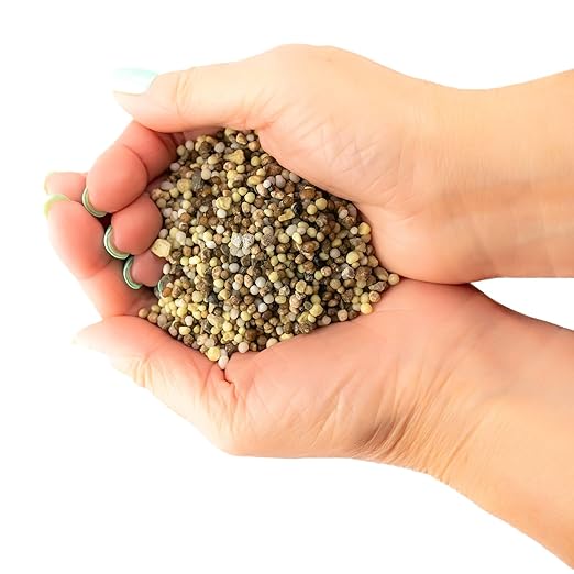 Premium 8-10-10 Fertilizer for Palm Trees, Citrus Plants and Other Tropical Plants by Gardenera - Boost Biomass and Enhance Leaf Color - 5 Quart