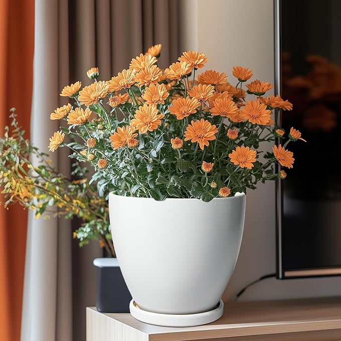 8 Inch Plant Pot - Ceraimc Planter for Indoor Outdoor Plants, Round Flower Pots with Drainage and Tray, House Decor, White