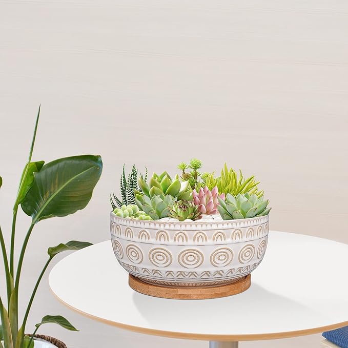 8 Inch Ceramic Succulent Planter Pot with Drainage Hole and Saucer Round Shallow Planter for Indoor Plants, White