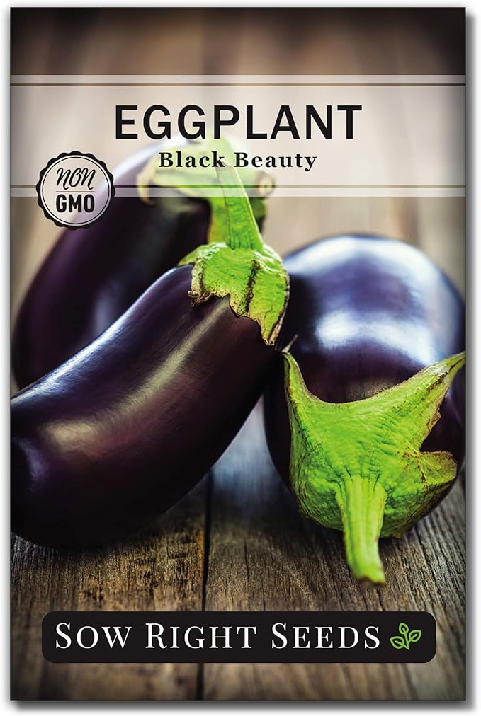 Sow Right Seeds - Black Beauty Eggplant Seed for Planting - Non-GMO Heirloom Packet with Instructions to Plant an Outdoor Home Vegetable Garden - Large Round Fruits, Deep Purple Variety (1)