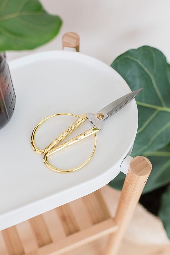 Premium Houseplant Scissors and Pruning Shears by Houseplant Resource Center | Ergonomic, Sharp & Durable Garden Clippers for Plant Care - 100% Stainless Steel Construction