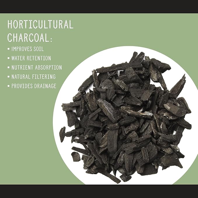 Horticultural Charcoal for Indoor Plants (1 Quart), Hardwood Soil Additive for Orchids, Terrariums, and Gardening