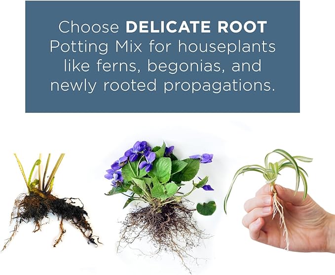 Ropey Root - Potting Mix for Indoor and Outdoor Tropical Plants, Chunky Soil Blend for Tropical Houseplants - 1 Gallon