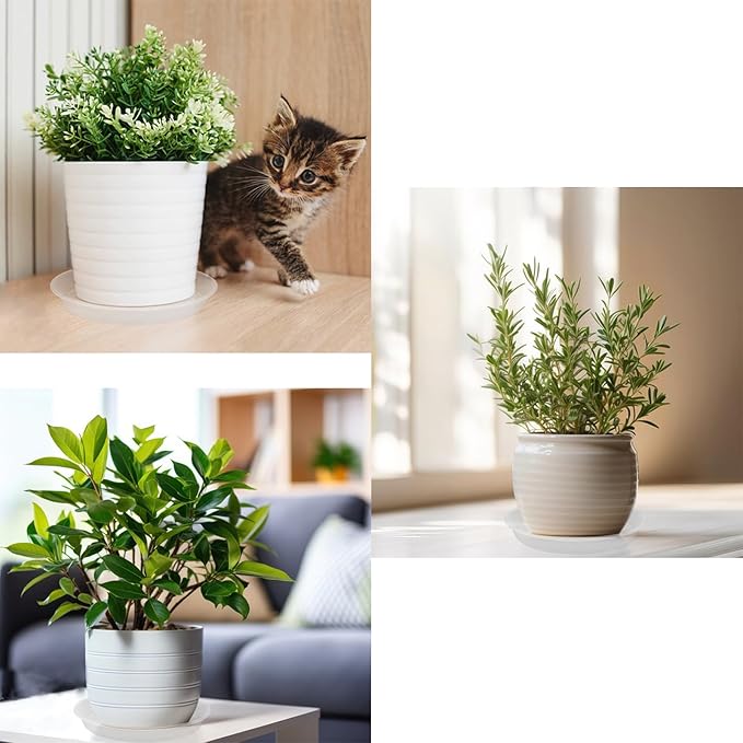 TITE 3 Pack Plant Saucer Heavy Large Planter Durable Thicker Plastic Plant Trays for Indoors and Outdoor,Plant Saucer Drip Trays (Transparent, 12 inch)