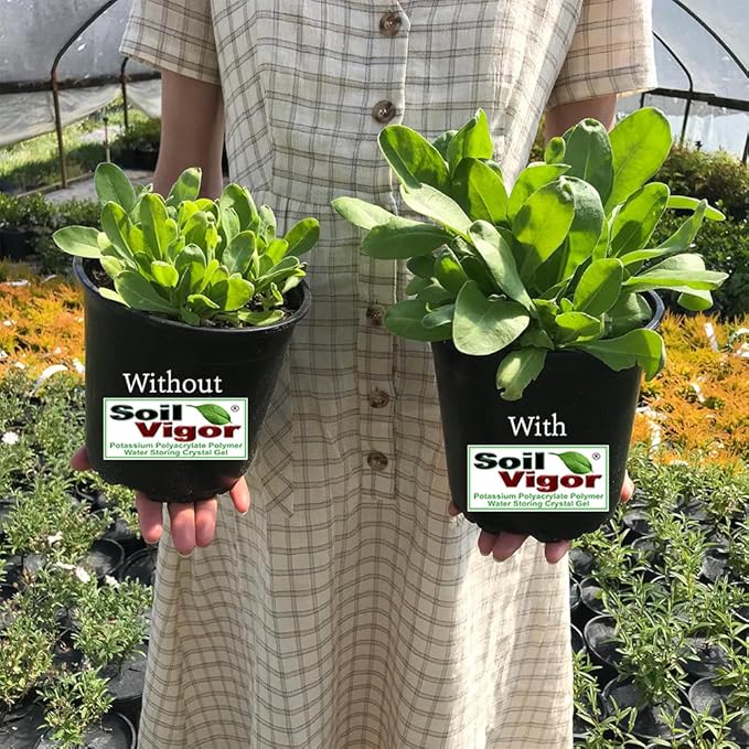 Potassium Polyacrylate for Garden Lasts Up to 7 Years in Soil (5)