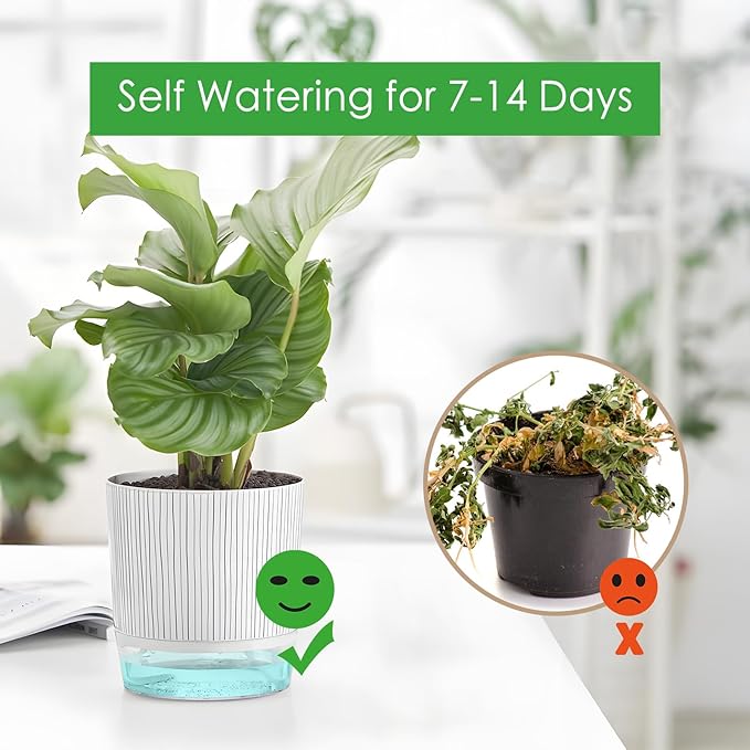 4 Pack Self Watering Pots Set, 4+5.5 Inch Self Watering Pots for Indoor Plants, Planter Pot with Wick Rope and Reservoir for African Violet, Spider Plant, Orchid