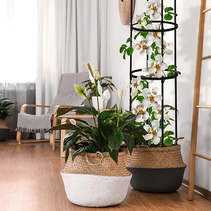 Garden Obelisk Trellis for Climbing Plants Outdoor 6 Ft Rose Bush Round Trellis with Grow Bag for Pots Rustproof Metal Plant Flower Trellises for Clematis Vine Jasmine Support Outdoor Indoor