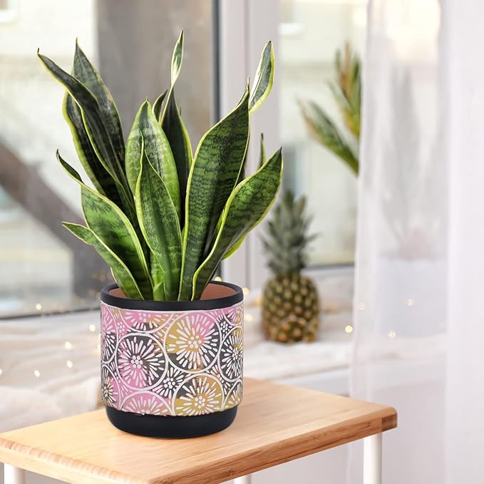 DeeCoo 3 Piece Ceramic Plant pots with Drainage Holes, 5.7/4.7/3.5/inch, Modern Decorative Indoor/Outdoor Flower Pots Set For Plants Lilies, Cacti, Succulents, Snakes, and Bamboo (Black)