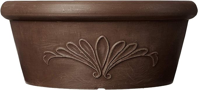 PSW Pot TA20C Collection Shallow Bulb Pan Planter Dish Low Bowl for Succulents, Bonsai, Fairy Gardens, Herbs, 8-inch, Chocolate.