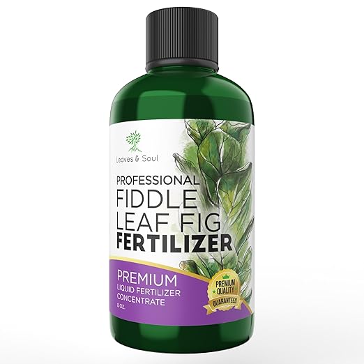 Professional Liquid Fiddle Leaf Fig Plant Fertilizer | 3-1-2 Concentrate for House Plants | Multi-Purpose Blend & Gardening Supplies | 8 oz Bottle