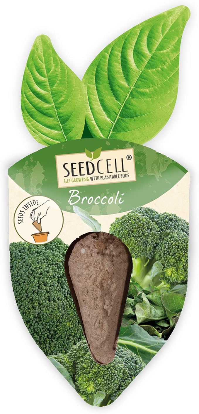 Vegtrug Seed Pods Kit - Vegetable Patch, Non-GMO Seeds with Fully Biodegradable Seed Pods, Contains Seeds of Broccoli, Zucchini, Pumpkin, and Butternut Squash, Pack of 1