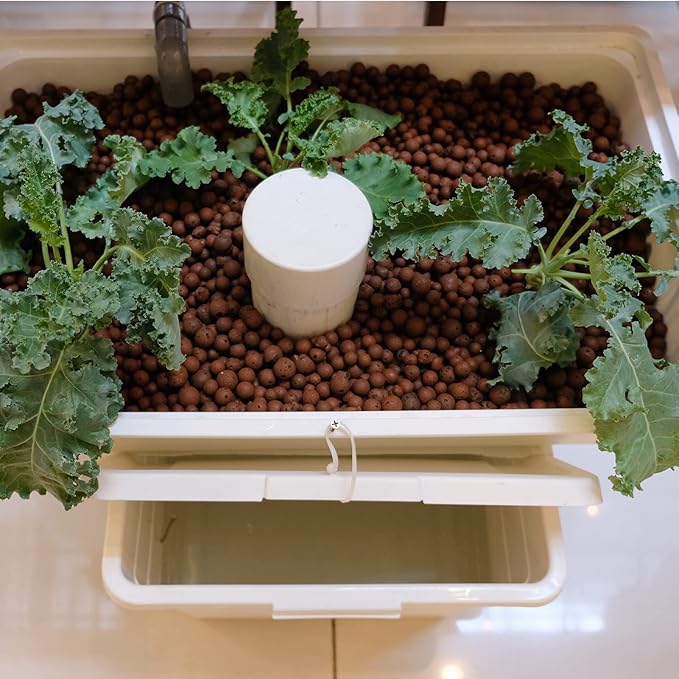 GASPRO 10lb LECA Expanded Clay Pebbles for Plants, Hydroponics, Aquaponics, 100% Natural Leca Balls for Soil Root Development, Orchid Potting Mix, Drainage and Reusable, 4-16mm