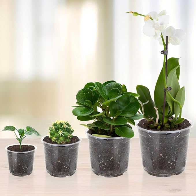 36 Pack 7 Inch Clear Nursery Pots, 1 Gallon Clear Plastic Nursery Pot for Plants, Durable Seed Starting Pot with Drainage Holes, Flexible Transparent Pot for Succulents