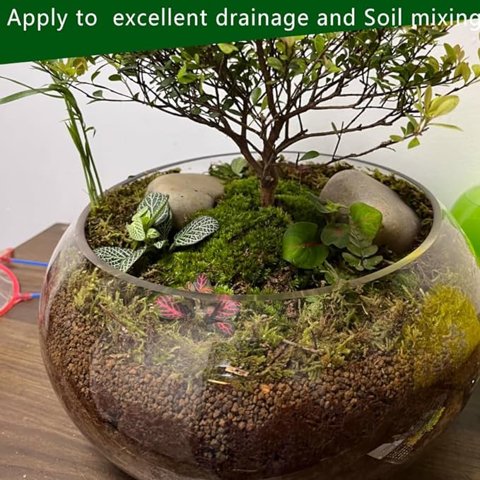 Horticultural Akadama Soil - Cactus Bonsai Succulent Soil Additive for Plants, Landscaping, Vase Fillers (3 LB, 1/8 inch)