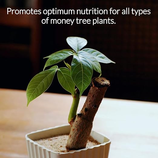 Professional Liquid Money Tree Fertilizer | 3-1-2 Concentrate for Plants and Flowers | Multi-Purpose Blend & Gardening Supplies | 8 oz Bottle