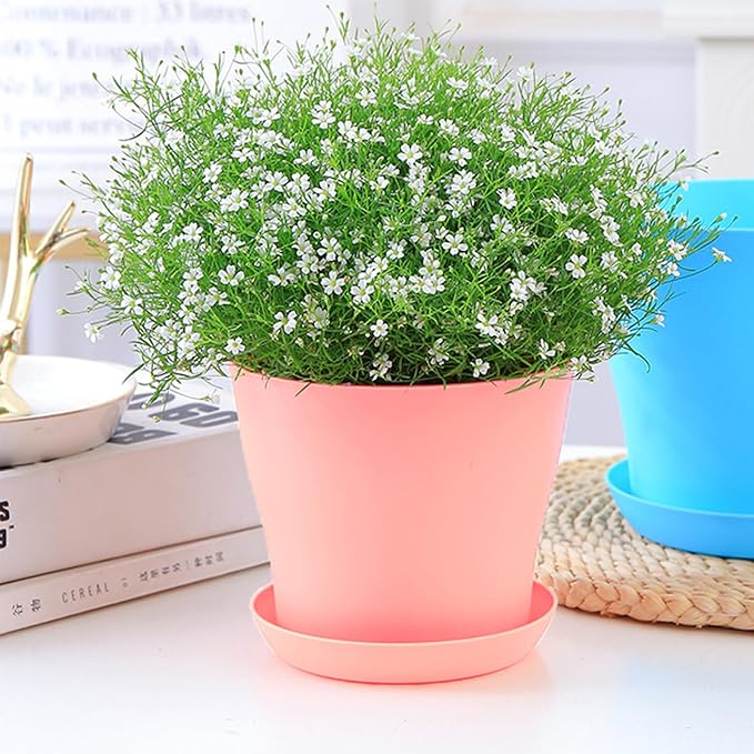 50 Pack 4 Inch Plant Pots Bulk Small Plastic Planters Pots with Drainage Holes Flower Pot for Succulent, Cactus, Herb, African Violet (50pcs-Pink, 4Inches)