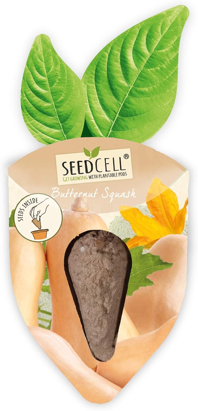 Vegtrug Seed Pods Kit - Vegetable Patch, Non-GMO Seeds with Fully Biodegradable Seed Pods, Contains Seeds of Broccoli, Zucchini, Pumpkin, and Butternut Squash, Pack of 1