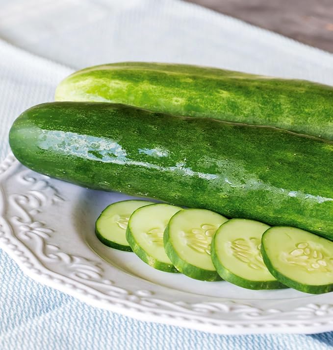 Burpee 'Burpless Beauty' Slicing Cucumber Seeds, 70 Non-GMO seeds, Burpee Exclusive