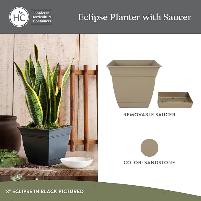 The HC Companies 8 Inch Eclipse Square Planter with Saucer – Indoor Outdoor Plant Pot for Flowers Vegetables Herbs, Sandstone