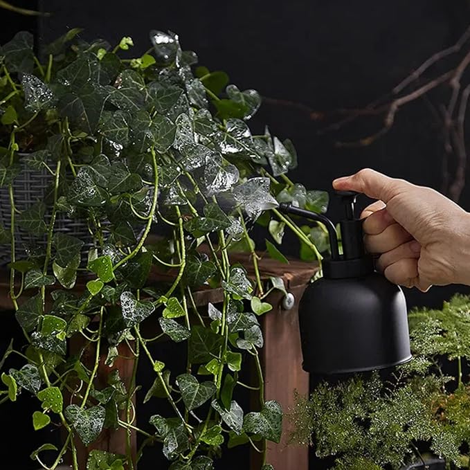 300ml Stainless Steel Plant Sprayer Suitable for Iindoor Potted Plants Watering and Spraying, Mmodern Gardening Tools With Top Pump for Small Plant Mister Spray Bottle (Black-02)