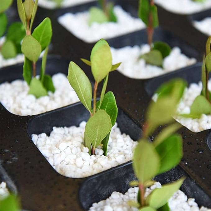 Organic Perlite for Plants, Soil Amendment for Enhanced Drainage and Growth, Ideal for Potting Mixes(2 Quart)