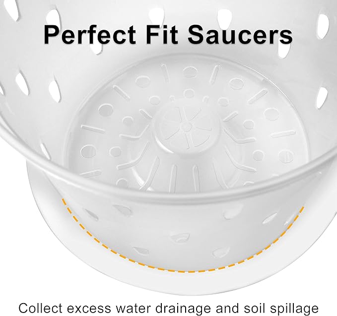 Orchid Pot, 7 Inch 8 Pack Orchid Pots with Holes and Saucers, Clear Plastic Plant Pot Indoor