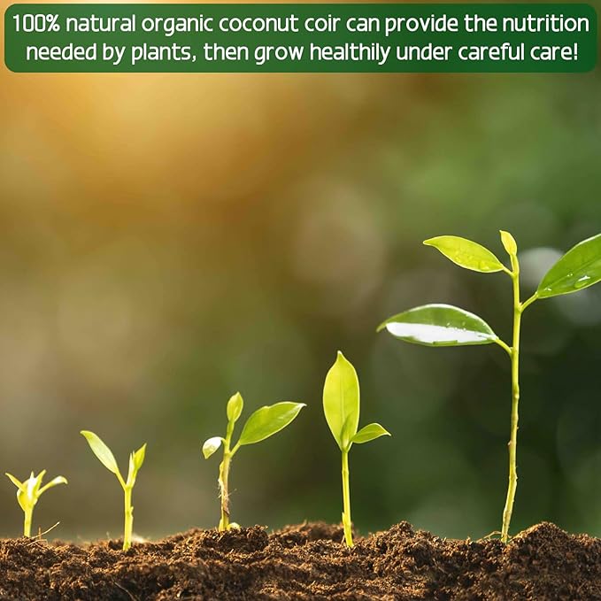 ZeeDix 4 Pcs Premium Coco Coir Brick- 100% Organic Compressed Coconut Coir Starting Mix, Coco Coir Fiber with Low EC and PH Balance for Gardening, Potting Soil, Herbs