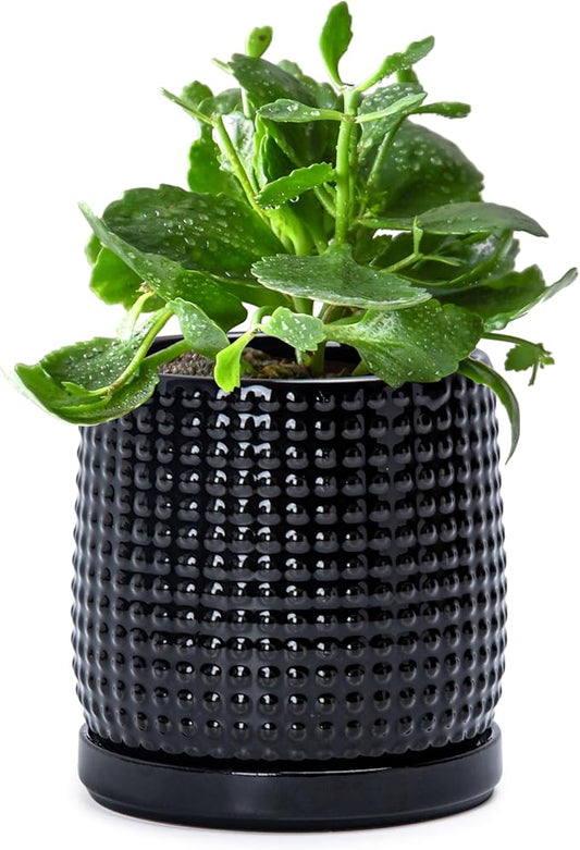D'vine Dev 4 Inch Ceramic Beaded Stoneware Planter Pot - Flower Pot with Drainage Holes and Saucers for Indoor Succulent Plants or Flowers, Glossy Black, 27-C-Z-2
