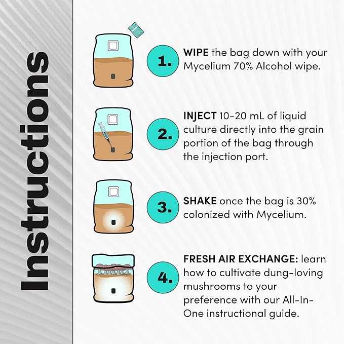 Mycelium's Superior Dung-Loving Mushroom Substrate & Rye Berries Grain 6 LB All-in-One Bag – Organic Coco Coir, Vermiculite & Gypsum Formula, Pre-Sterilized & Ready for Easy Home Cultivation