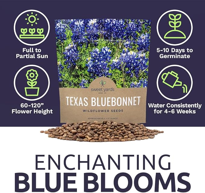 Texas Bluebonnet Wildflower Seeds - Bulk 1/2 Ounce Packet - Over 500 Native Seeds - Texas State Flower!