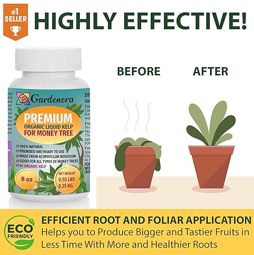 Money Tree Health Boost - 8 oz - Concentrated Kelp & Seaweed Extract for Strong and Healthy Money Trees