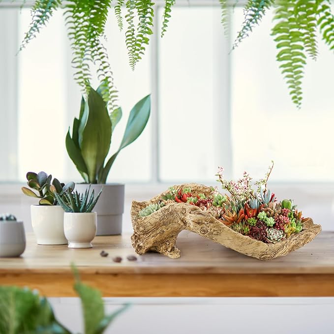 Artificial Driftwood Planter, Sculpture Resin Succulent Flower Pot, Creative Imitation Wood Stump Log Bonsai Plant Pot, Rustic Cactus Container with Drainage Hole for Garden, Indoor, Outdoor