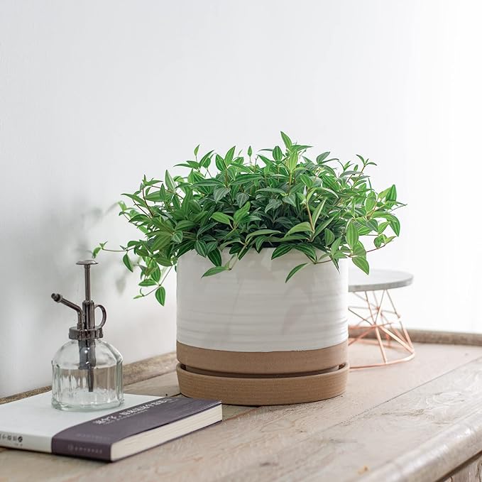 8 Inch Pots for Plants, Ceramic Planter Pot with Drainage Hole & Saucer, Indoor or Outdoor Cylinder Round Planter Pot, Matte White & Beige