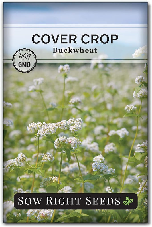 Sow Right Seeds - Annual Buckwheat Seed for Planting - Cover Crops to Plant in Your Home Vegetable Garden - Enriches Soil - Suppresses Weeds - Helps Erosion - Non-GMO Heirloom Seeds - Great Gift (1)