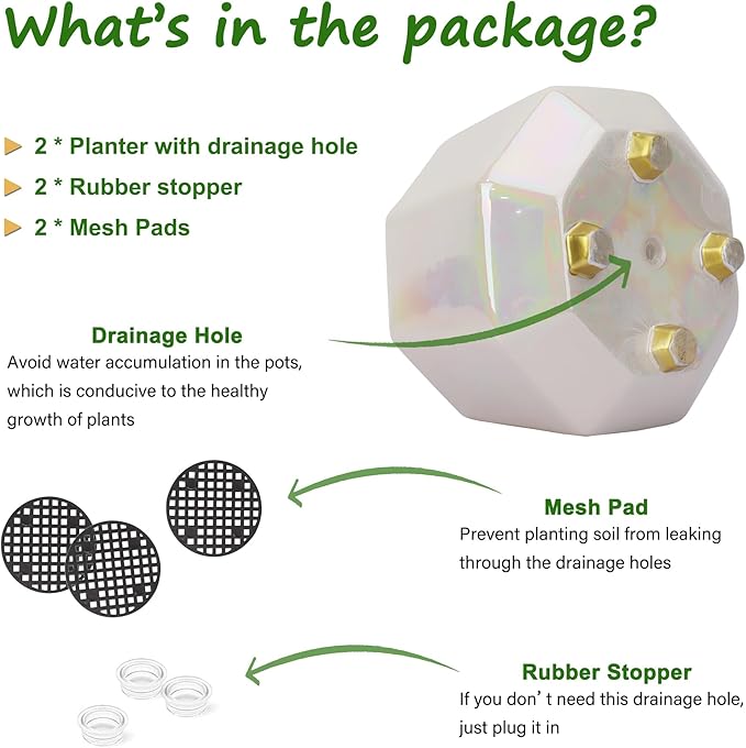 6 Inch + 4 Inch Ceramic Planter for Indoor Plants - Plant Pots with Drainage Hole - Modern Minimalist Flower Pot for Succulents and Herbs