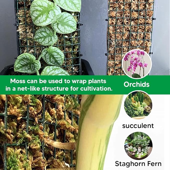 Natural Long Fiber Sphagnum Moss 42QT for Orchid Potting Mix, and Moss Pole for Plants Indoor. Ideal for Propagating Plants, Maintaining Humidity for Reptiles, Isopods in Paludarium, Aquascape (12 OZ)