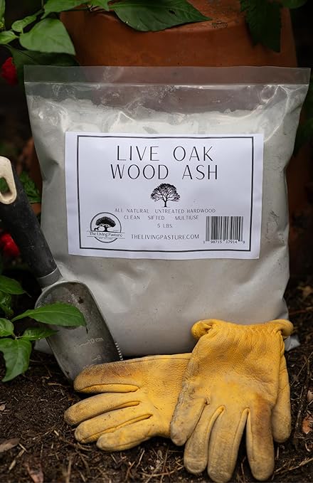 Live Oak Wood Ash - All Natural Clean Sifted Premium MultiUse Hardwood Ashes 5 lbs