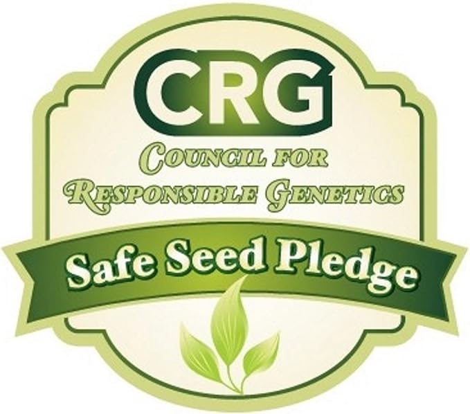 Peas Little Marvel Sweet Dwarf Bush Pea 50 Seeds (Pisum sativum) No GMO – Open Pollinated - Heirloom