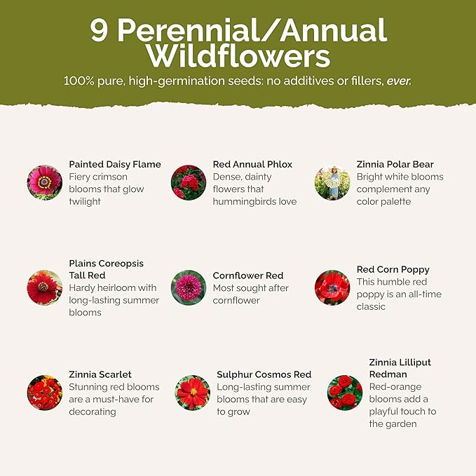 Eden Brothers Big Red Flower Mixed Seeds for Planting, 1 lb, 480,000+ Seeds with Painted Daisy Flame, Zinnia, Red Phlox | Attracts Pollinators, Plant in Spring or Fall, Zones 3, 4, 5, 6, 7, 8, 9, 10