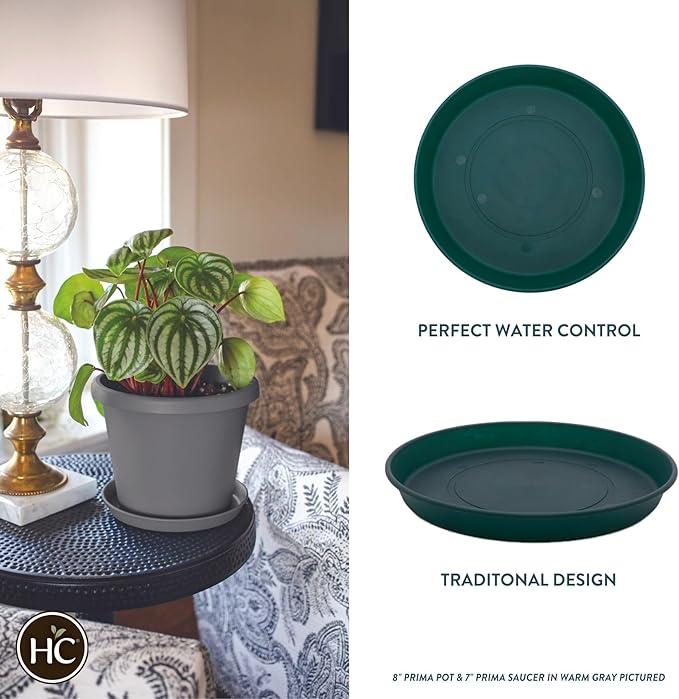 The HC Companies 14 Inch Round Prima Plastic Plant Saucer - Indoor Outdoor Plant Trays for Pots - 14.17 Inchx14.17 Inchx1.69 Inch in Evergreen