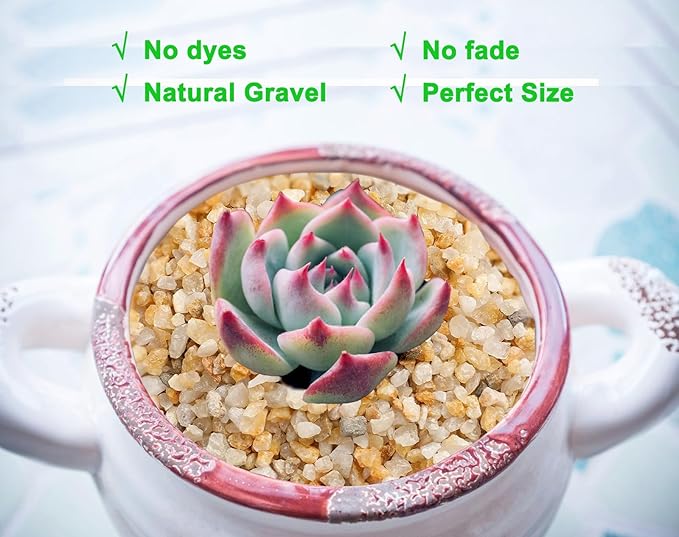 Coarse Golden Sand Stones, Boniosz 5lb Succulent and Cactus Bonsai Rocks Small Decorative Pebbles for Terrariums, Fairy Gardening, Top Dressing, and Houseplants