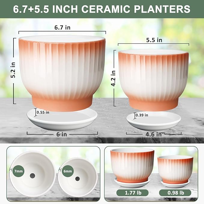 6.7 + 5.5 Inch Plant Pot, Ceramic Planter with Drainage and Saucer, Ceramic Pots for Plants, Indoor Plant pots,Ceramic Flower pots（Orange + White, Plants NOT Included）