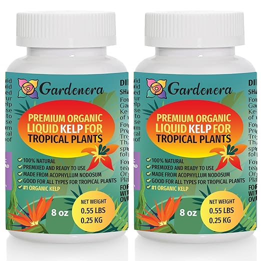 Organic Liquid Kelp Fertilizer for Tropical Plants - 16 oz - Revitalize Your Tropical Plants with Natural Seaweed Goodness