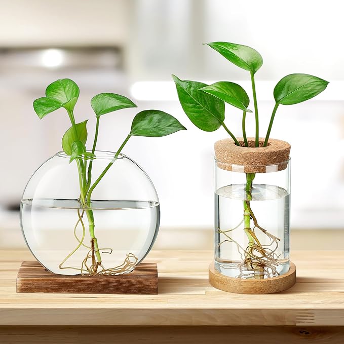 Layhit 4 Pcs Plants Propagation Stations Separated Desktop Plant Terrarium Glass Planter Vase with Wooden Lid and Bamboo Stand for Growing Hydroponic Home Office Tabletop Decoration (Novelty Style)